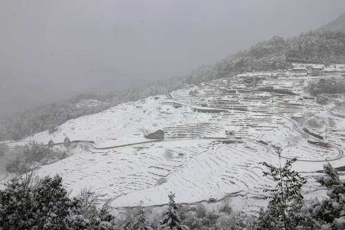 2023年1月25日今シーズン初積雪 (紀和町丸山千枚田)